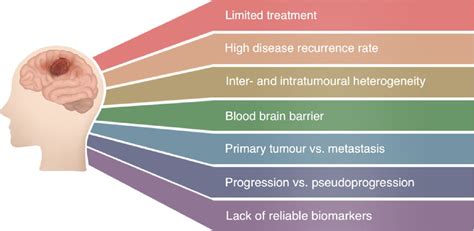 Potential biomarkers and challenges in glioma diagnosis, therapy and ...