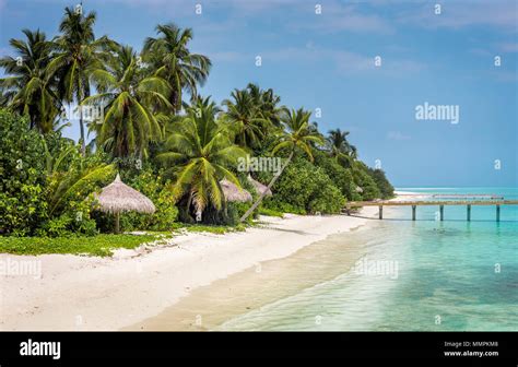 Amazing blue lagoon and tropical island in Maldives Stock Photo - Alamy