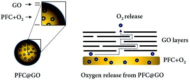 Graphene oxide-stabilized perfluorocarbon emulsions for controlled ...