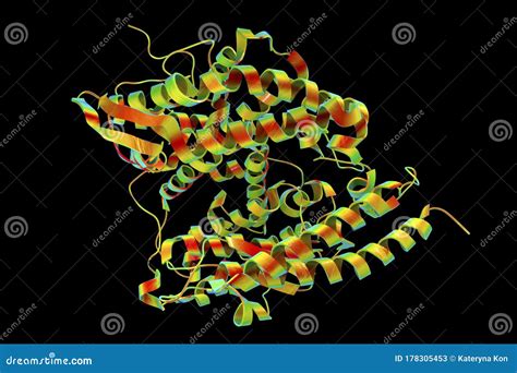 Human ACE2 receptor stock illustration. Illustration of diagnostic - 178305453