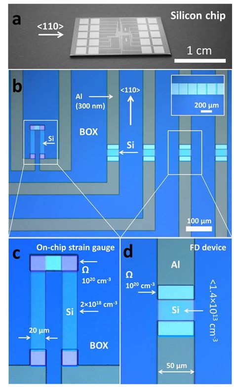 (a) Photograph of an example silicon chip fabricated for the study. The ...