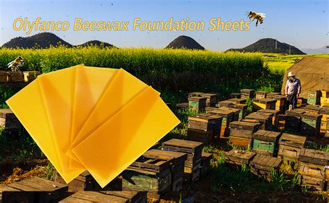 Amazon.com: OlyFanco Beeswax Sheets, Natural Beeswax Foundation Sheets for Honeycomb, Candle ...