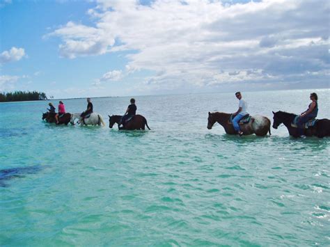 Freeport Horseback Riding / Bahamas Cruise Excursions