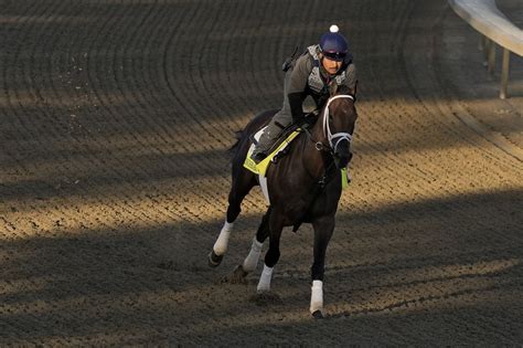 2023 Kentucky Derby picks, predictions, favorites & betting odds - syracuse.com