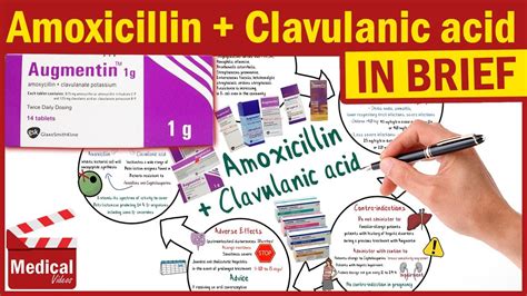 Amoxicillin and Clavulanic Acid ( Augmentin ): Augmentin Uses, Dosage ...