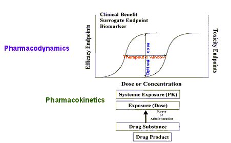 Pk 6 A- Pharmacodynamics