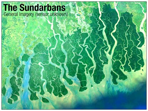 maps&maps: The Sundarbans