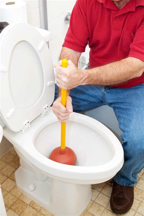 What Type of Plunger is Suitable for Toilets? - Rate My Toilet