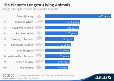 Chart: The Planet's Longest-Living Animals | Statista