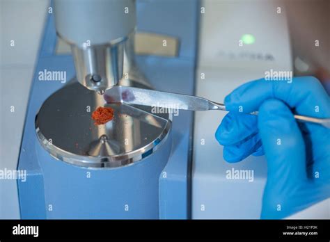 Examination of powder in lab Stock Photo - Alamy