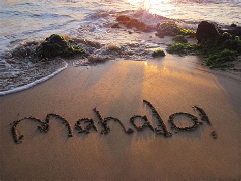 " Mahalo " from the Island of Maui | Dream vacation spots, Hawaii destinations, Hawaii island