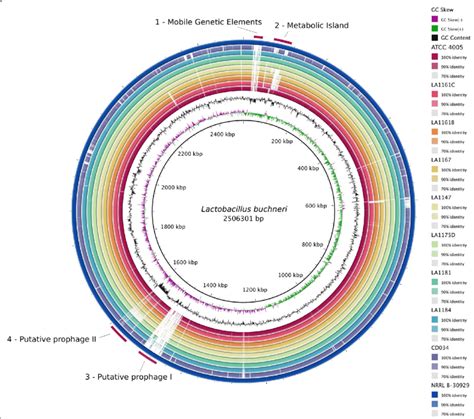 Genome-wide BLAST comparison of all isolates against reference strain ...