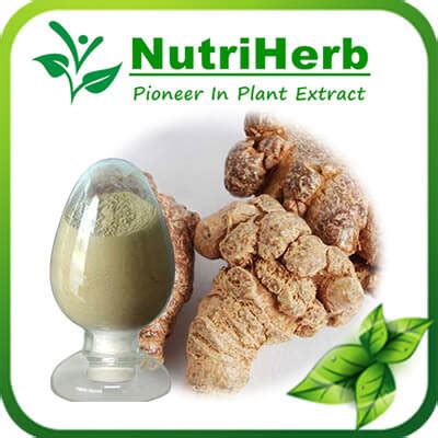 Notoginseng Root Extract,Notoginsenosides,Sanqi Extract Supplier and Factory-NutriHerb