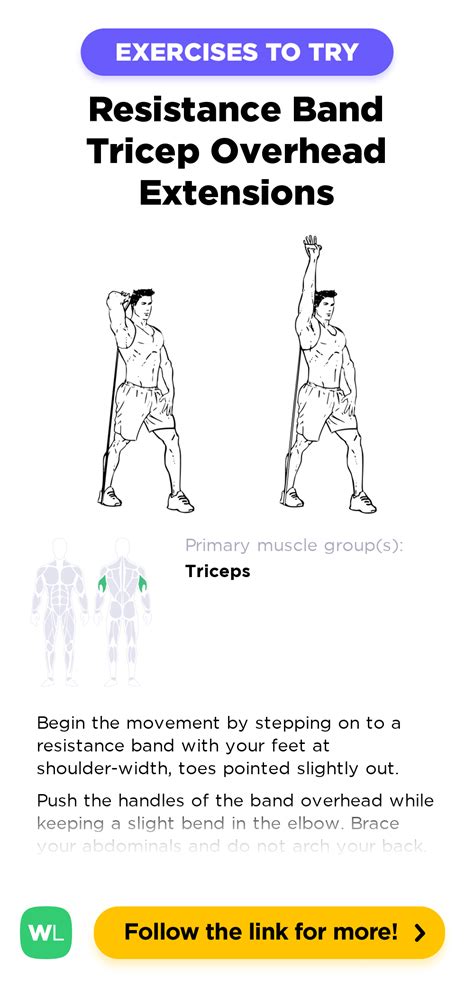 Tricep Exercises With Resistance Bands | EOUA Blog