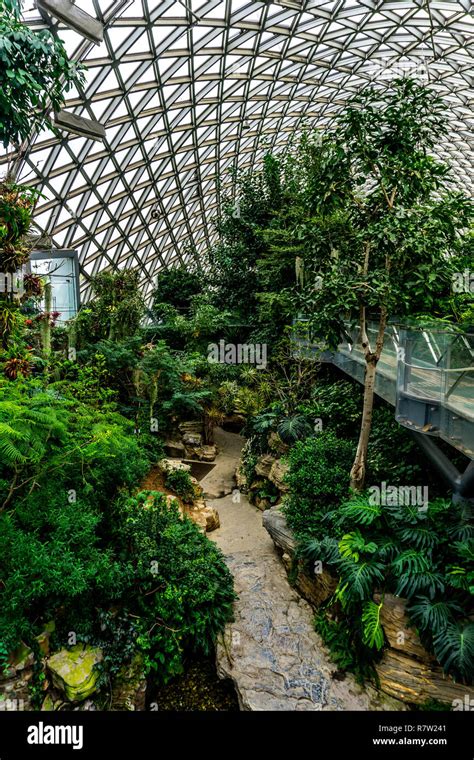 Humid subtropical climate hi-res stock photography and images - Alamy