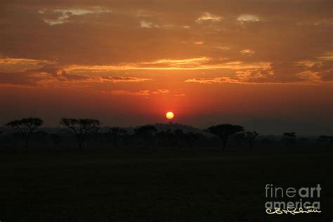 Serengeti Sunrise Photograph by CB Hackworth - Pixels