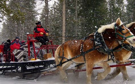 The One Horse Sleigh Ride Date - Atherton Life Care Community