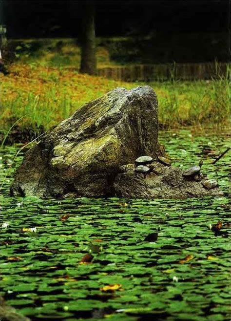 The Heian period - Japanese Gardens - Northern Architecture