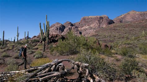 Der Arizona Trail - einmal zu Fuß durch Arizona wandern - USA-und ...