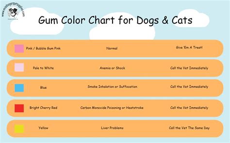 Normal Dog Gum Color Chart