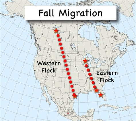 October: Learning the Route