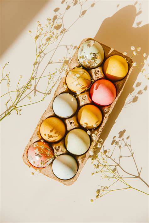 Colorful Eggs In A Carton · Free Stock Photo