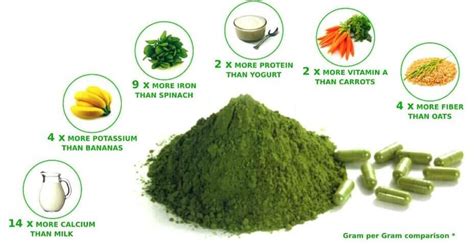 10 Health Benefits of Spirulina: A Nutrient-Packed Superfood