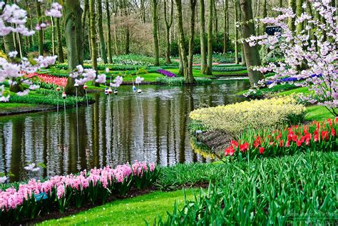 Keukenhof Spring Tulip Gardens, Lisse, The Netherlands | Alison ...