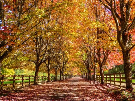 Rockwood Farm's Autumn Entrance in Snoqualmie