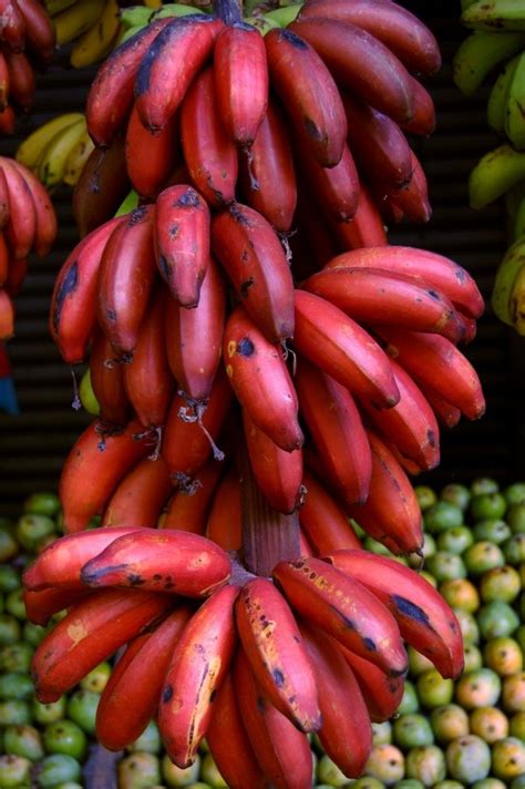 7 Varieties of Bananas You Should Try on Your Next Hawaiian Vacation ...