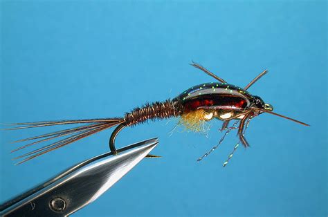 Pheasant Tail Nymph