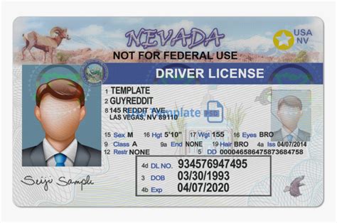 State Drivers License Templates