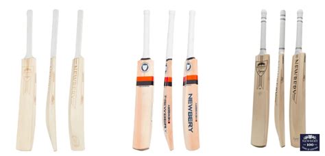 Top 15 Best Cricket Bat Brands (SG, Kookaburra, MRF + More)