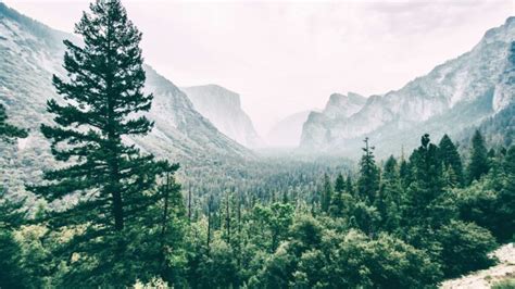 13 Fun and Easy Yosemite Hikes You Can Plan With Your Kids