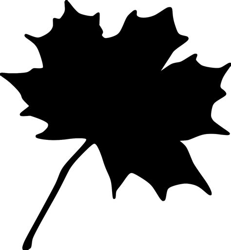 SVG > maple leaves leaf autumn - Free SVG Image & Icon. | SVG Silh