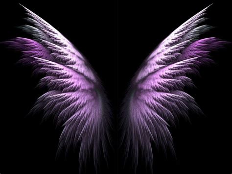 Pink Wings Wallpapers - Wallpaper Cave