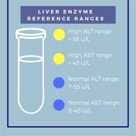 Enzymes Levels High at Lincoln Doty blog