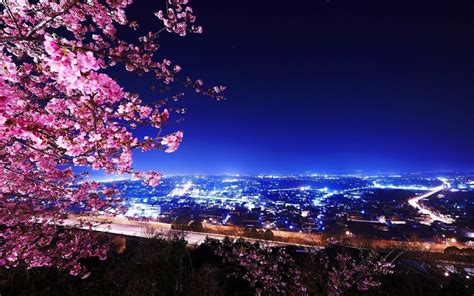 Sakura Backgrounds - Wallpaper Cave