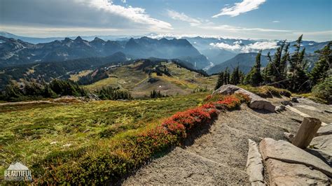 Mount Rainier Hikes