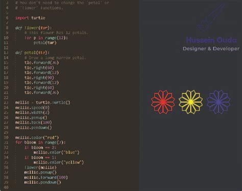 Draw flowers in the Python language ارسم أزهار بلغة #Python | Flower drawing, Petal, Tlc