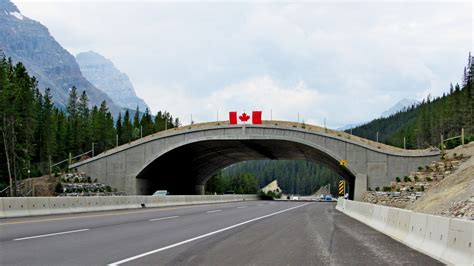 Yoho National Park Wildlife Overpass - Field, BC - Man-made Animal ...