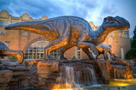 Into the Wild Woods: Fernbank Museum of Natural History | blooloop