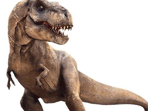 The mystery of Tyrannosaurus rex and its tiny arms has been solved by ...