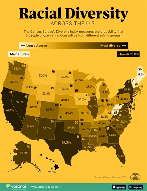 Mapped: Racial Diversity by U.S. State – The News Beyond Detroit