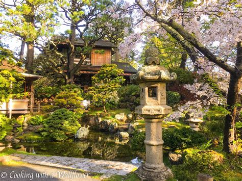 Destination: Japanese Tea Garden - Cooking with a Wallflower