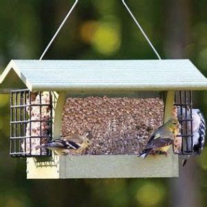 Twin Buffet Bird Feeder w/ Suet Baskets - Wild Bird Habitat Store