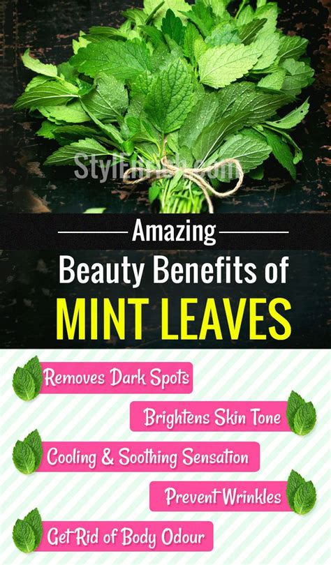 Benefits of Mint Leaves : 10 Quick and Easy Beauty Hacks