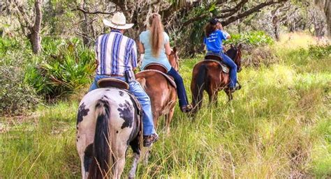 Visit Wagon Wheel Horse Farm In Florida For Horse Trail Rides