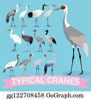 3 Siberian Crane Cartoon Vector Illustration Clip Art | Royalty Free ...