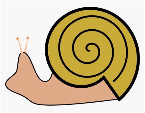 Snail Clip Arts - Snail Shell Clipart, HD Png Download , Transparent ...